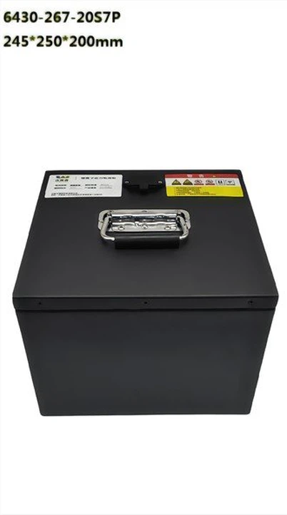 64V 30Ah LiFePo4 Akku für elektrisches Sightseeing-Fahrzeug